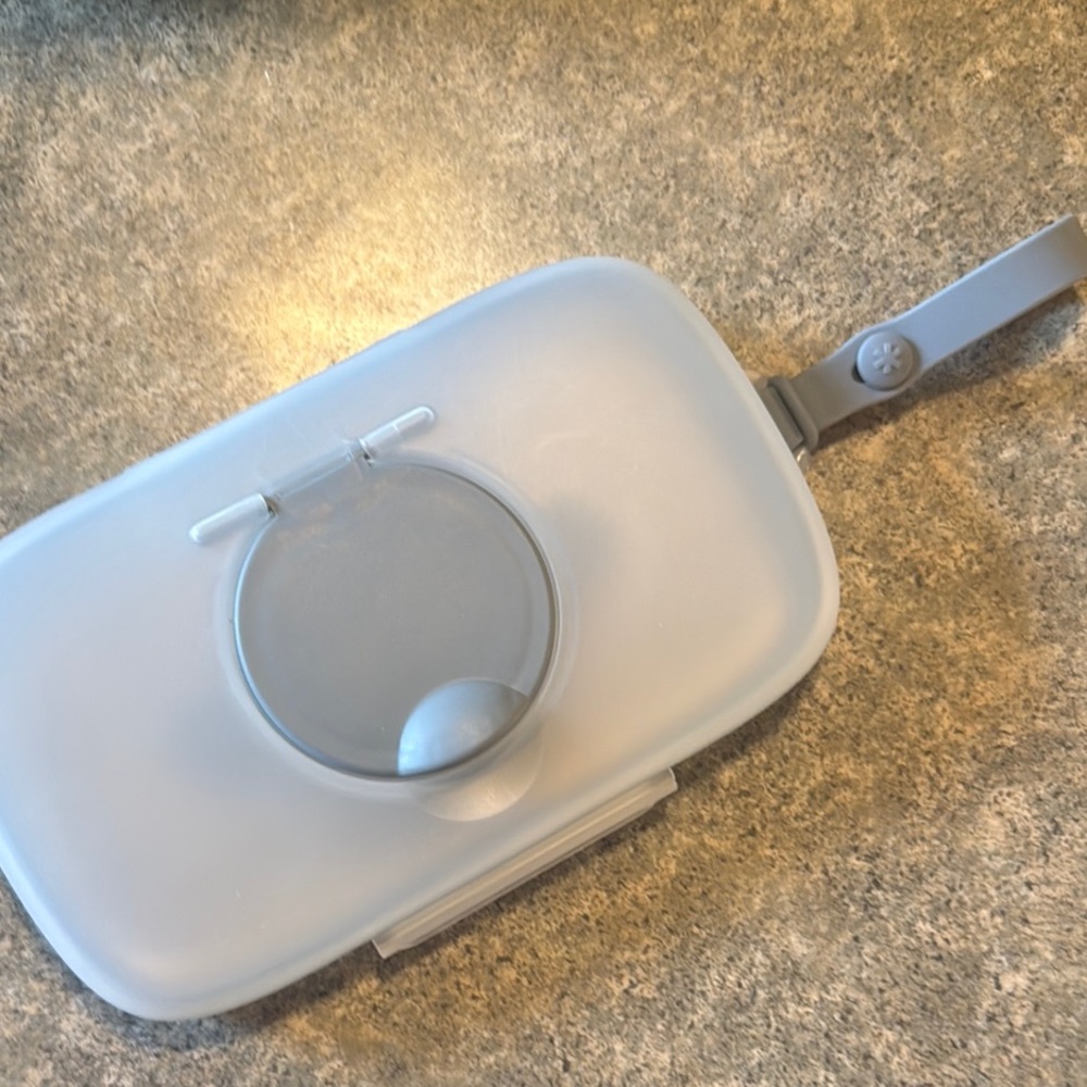 Skip Hop Gray Portable Wipes Case